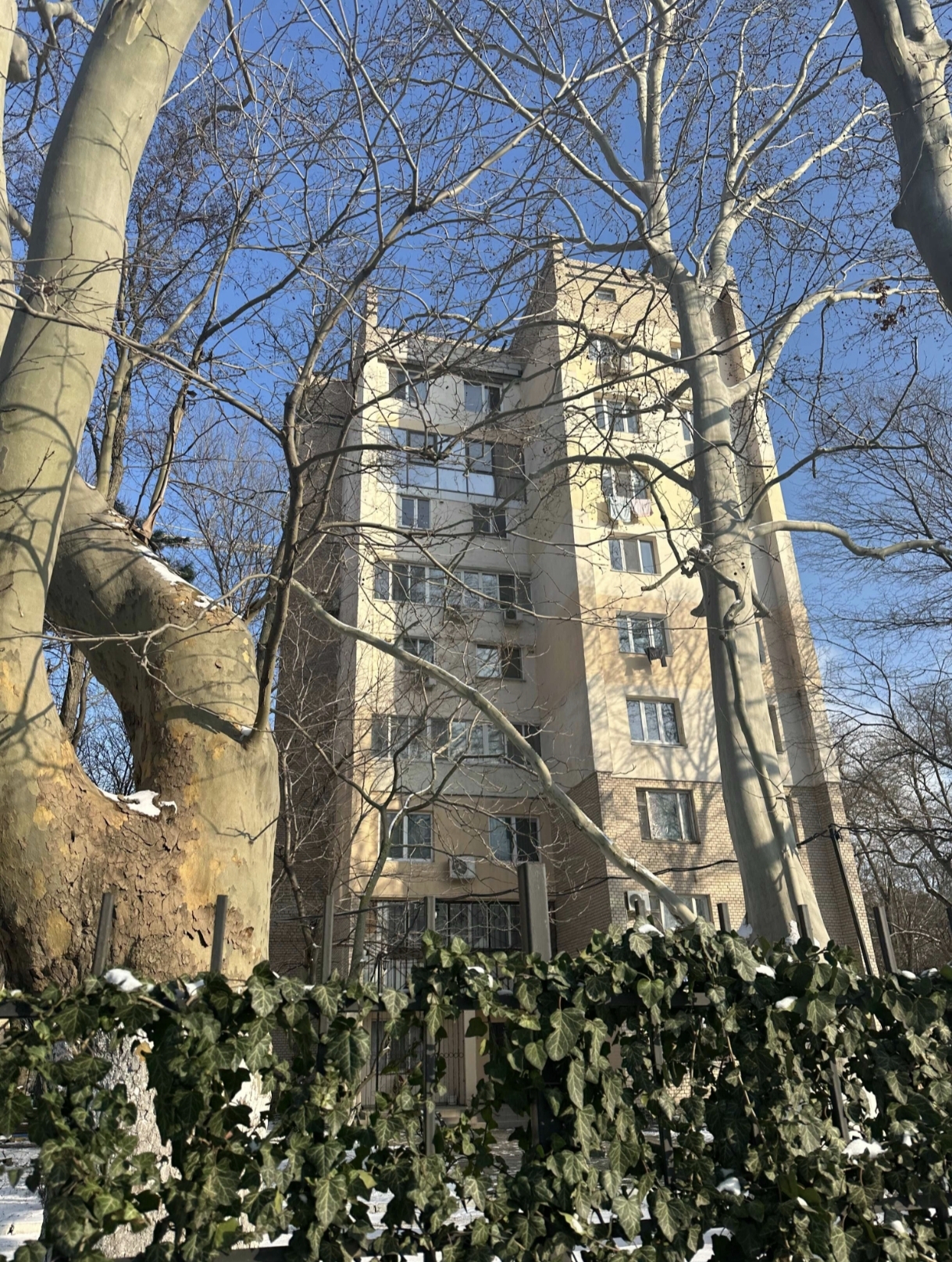 Аренда 1-комнатной квартиры 31 м², Французский бул., 33А