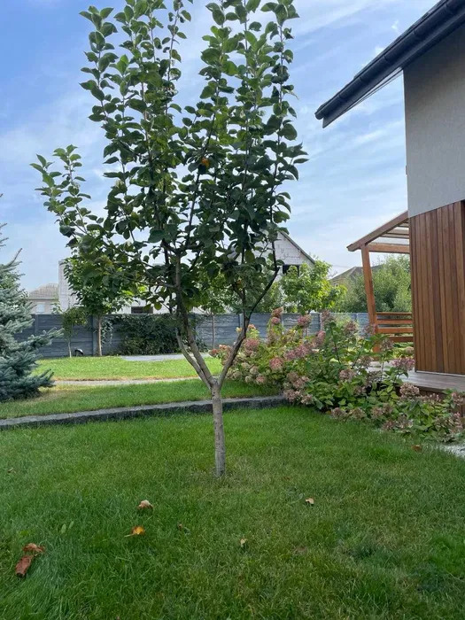 Оренда будинку 208 м², 75-а Садова вул.