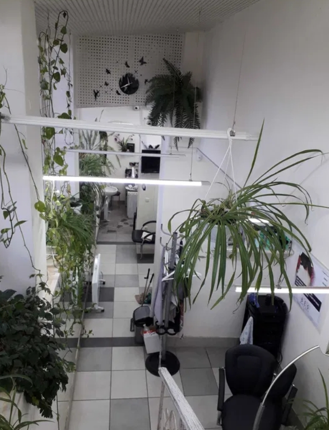 Аренда помещения свободного назначения 34 м², Армейская ул.