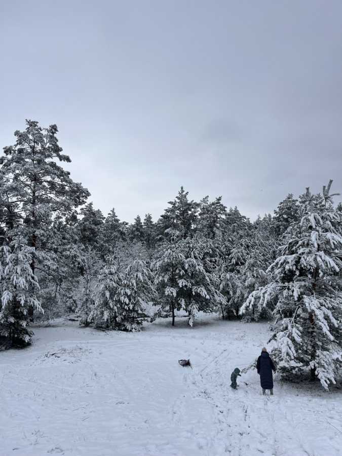 Продажа 1-комнатной квартиры 36 м², Центральна, 1