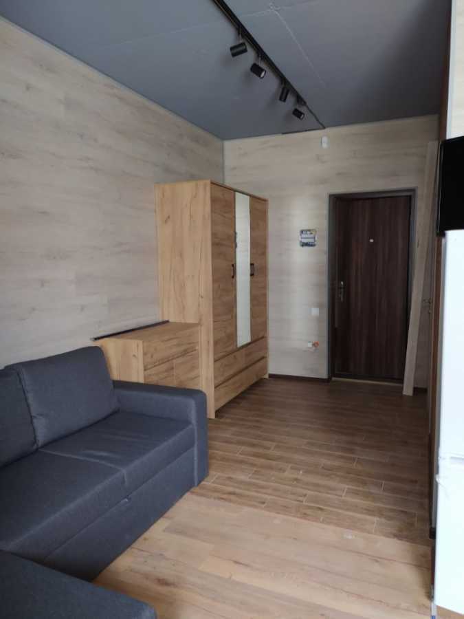 Аренда 1-комнатной квартиры 25 м², Березовая ул., 41