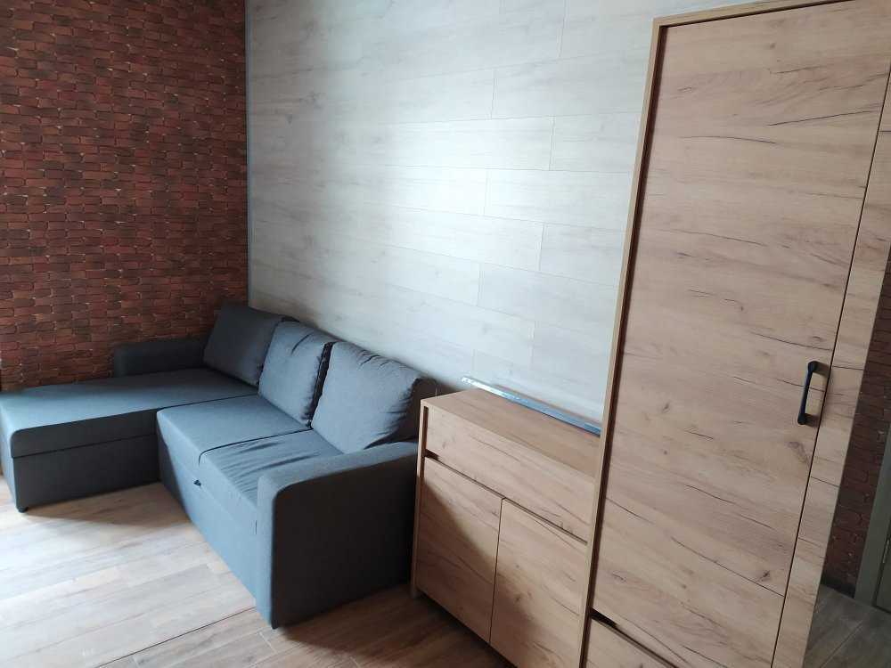 Аренда 1-комнатной квартиры 25 м², Березовая ул., 41