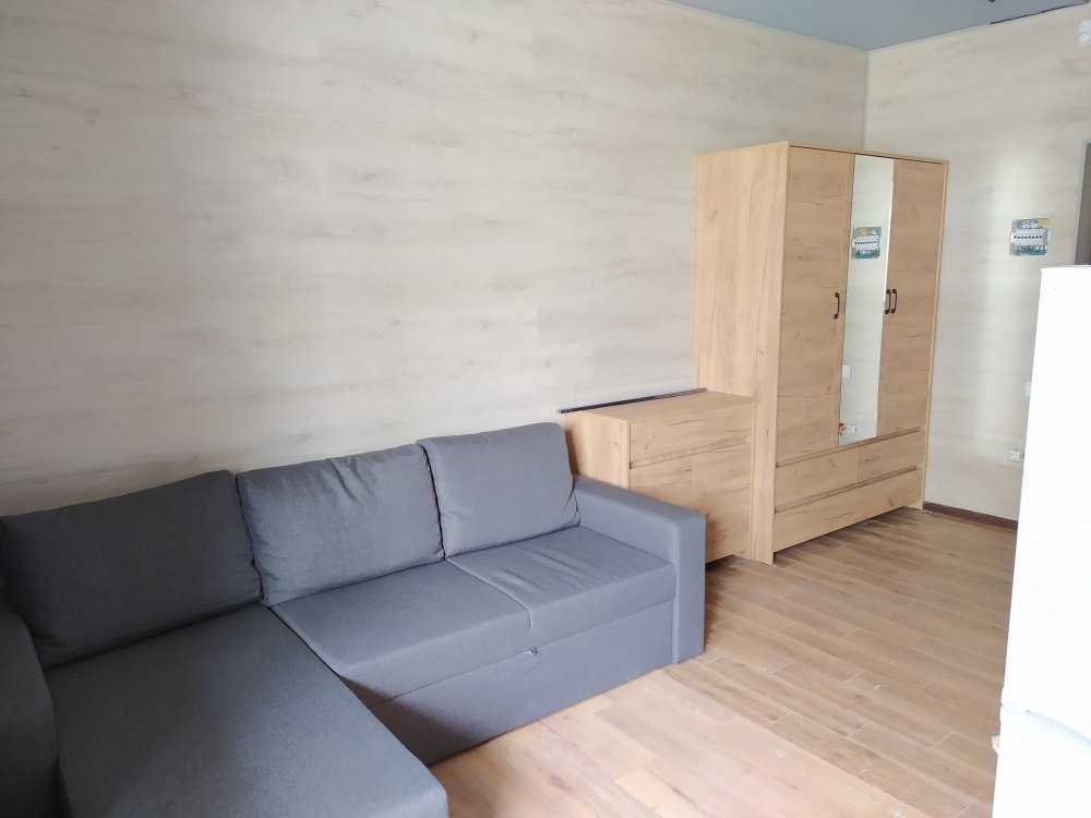 Аренда 1-комнатной квартиры 25 м², Березовая ул., 41