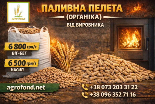 Продаж будинку 170 м², Городище вул.