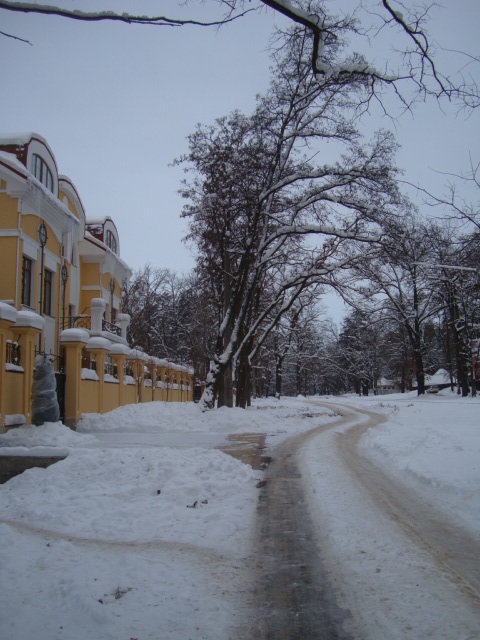 Продажа участка под индивидуальное жилое строительство 40 соток, Николая Юнкерова ул., вул.39