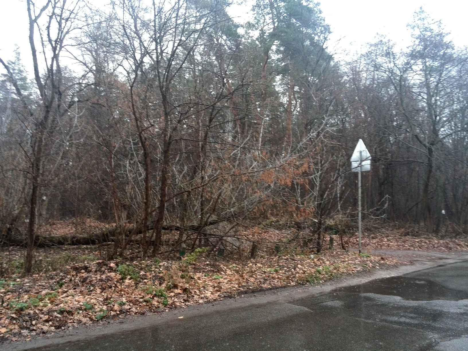 Продажа участка под индивидуальное жилое строительство 20 соток, Пуща-Водиця.вул.Лісна