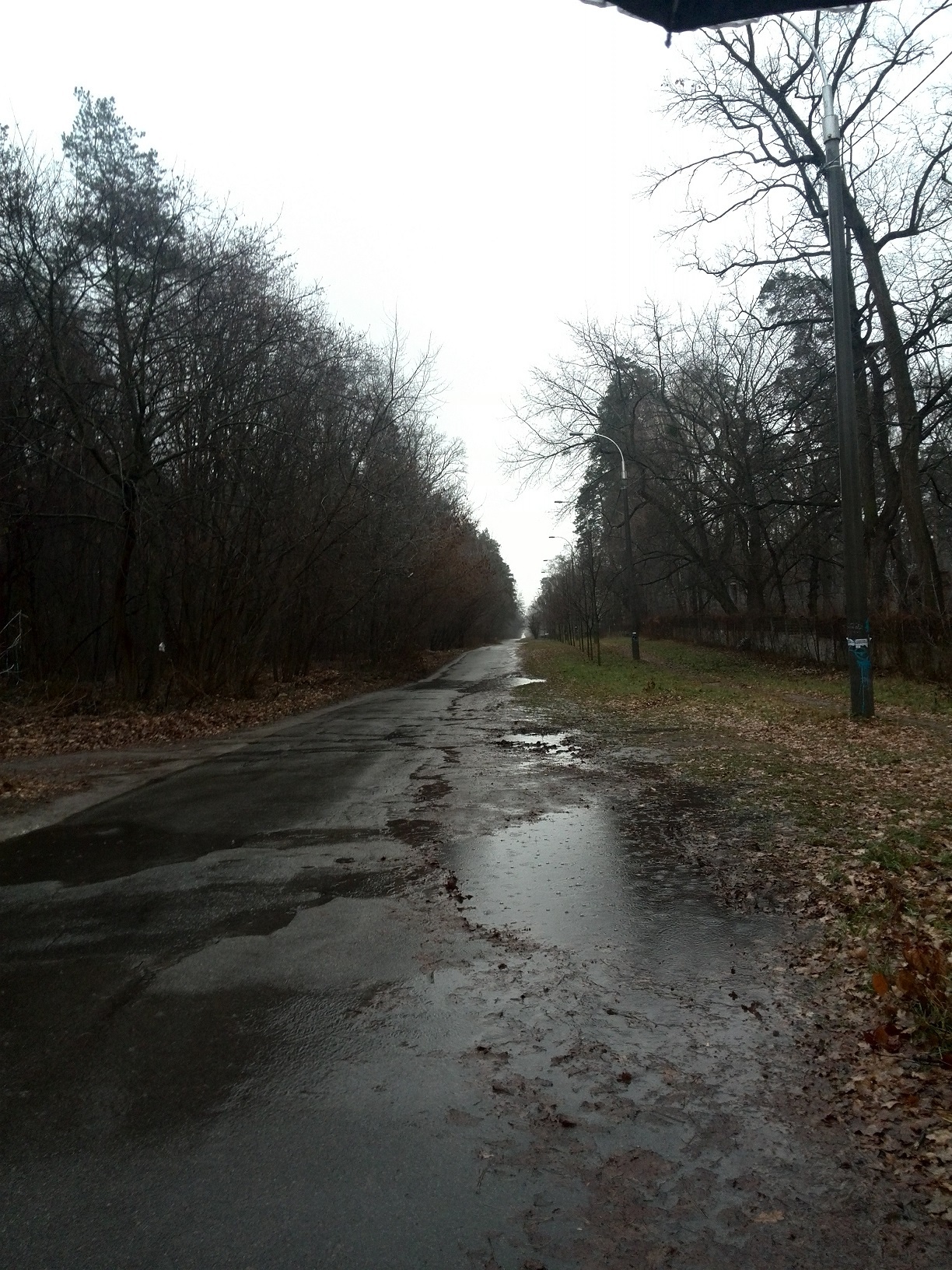 Продажа участка под индивидуальное жилое строительство 20 соток, Пуща-Водиця.вул.Лісна