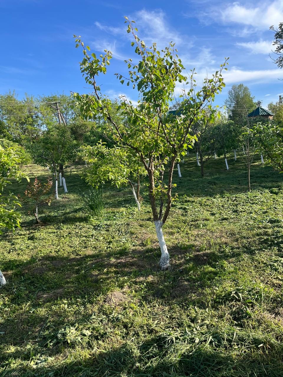 Продажа дома 60 м²