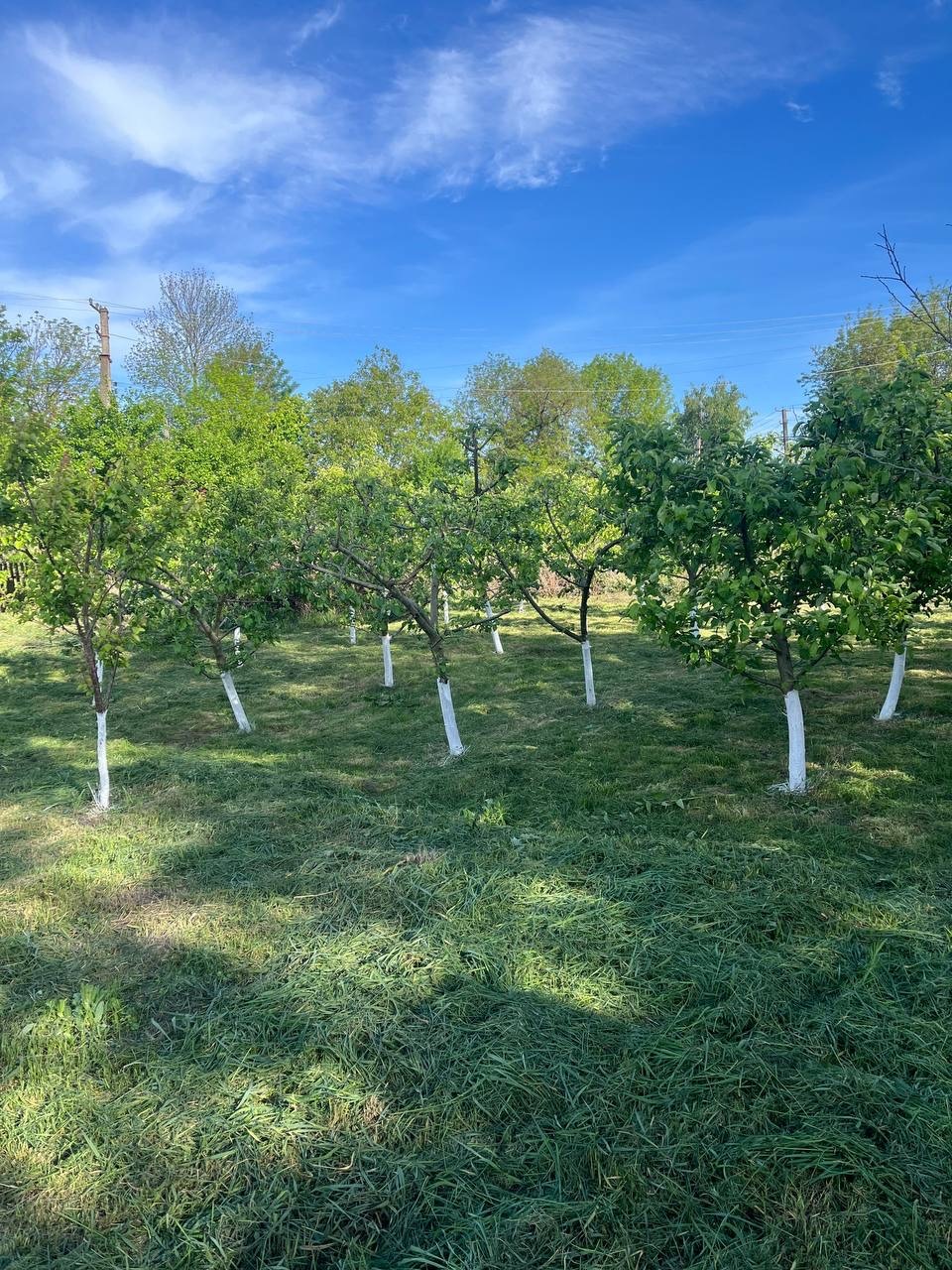 Продажа дома 60 м²