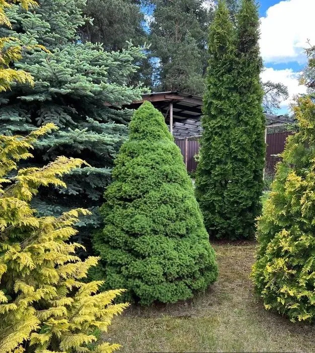 Аренда дома 187 м²