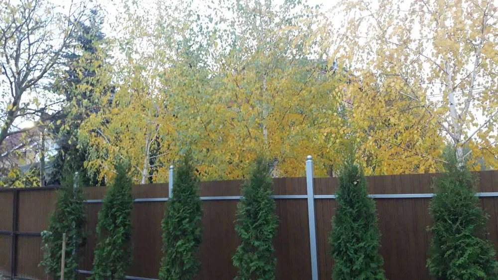 Аренда дома 150 м²