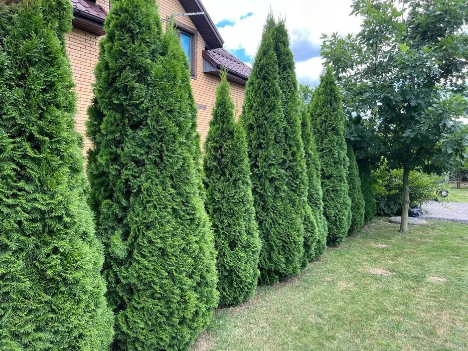 Аренда коттеджа 178 м²