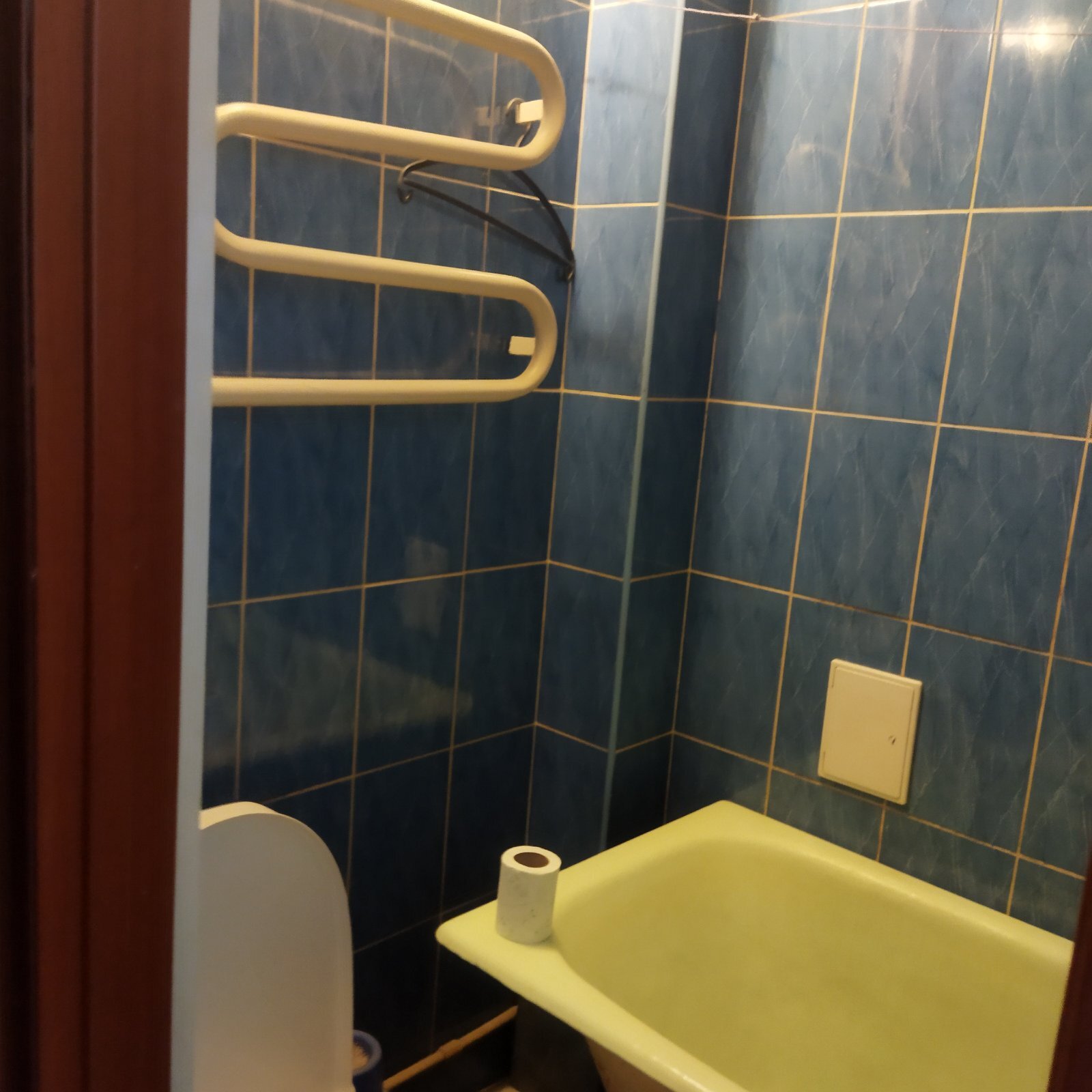 Аренда 1-комнатной квартиры 32 м², Сергея Москаленко ул., 2А