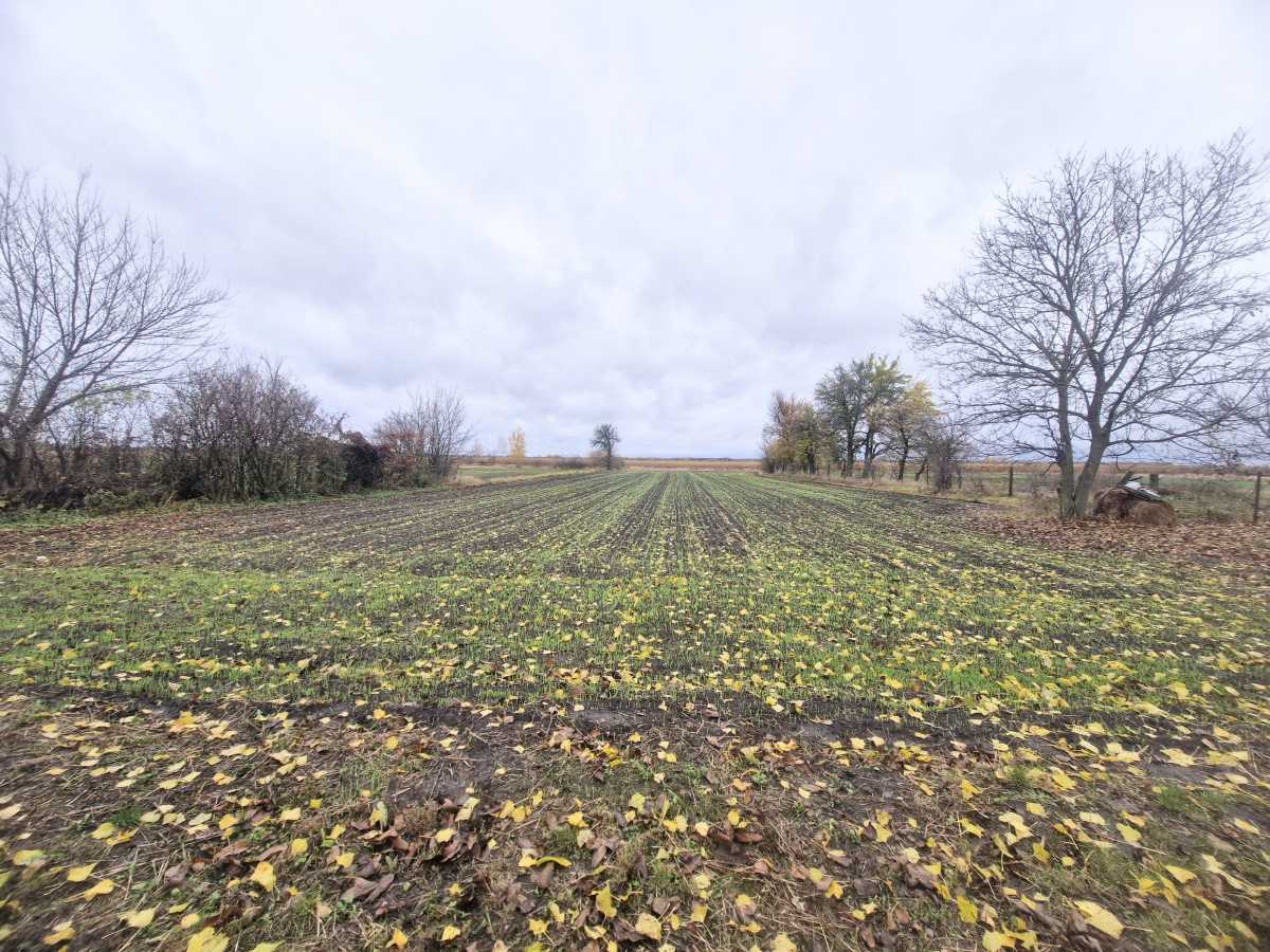 Продажа дома 40.5 м², Центральна, 20