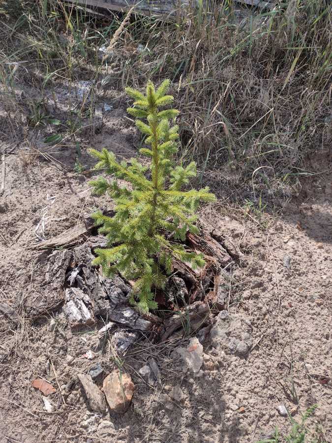 Продаж будинку 125 м², Льва Симиренка