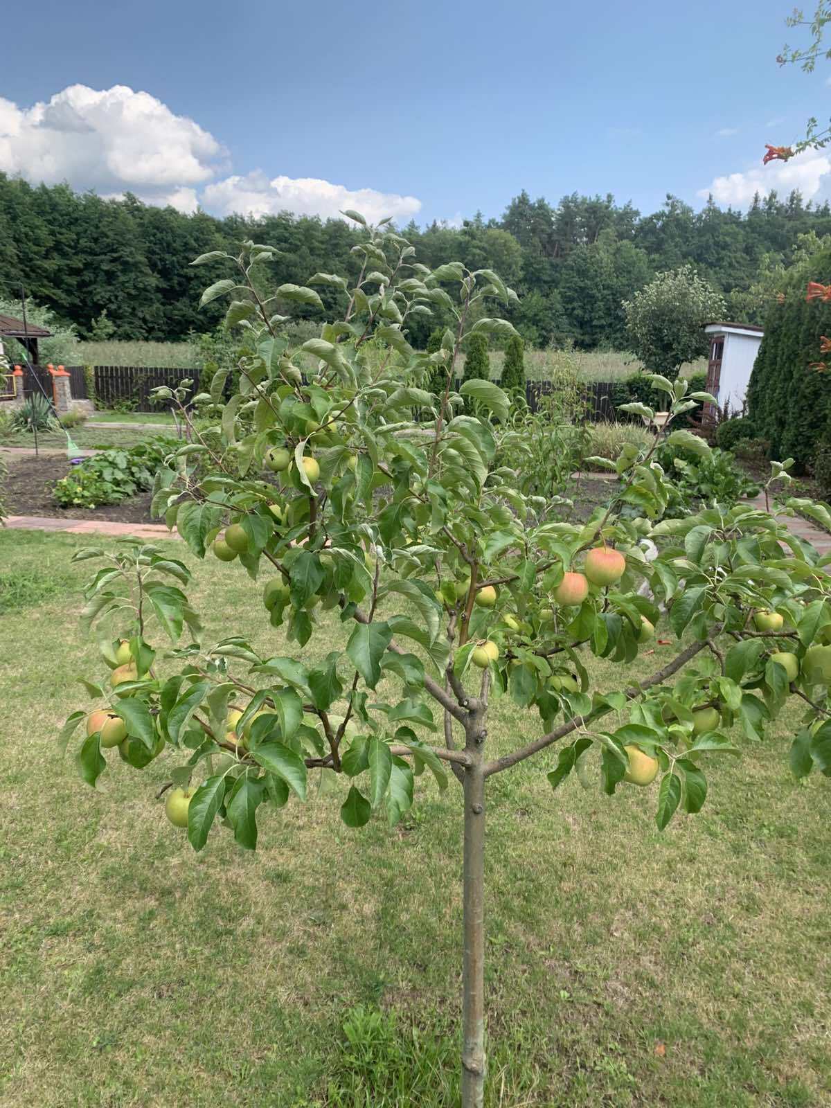 Продажа дома 234.8 м², вул.Юровської Ольги