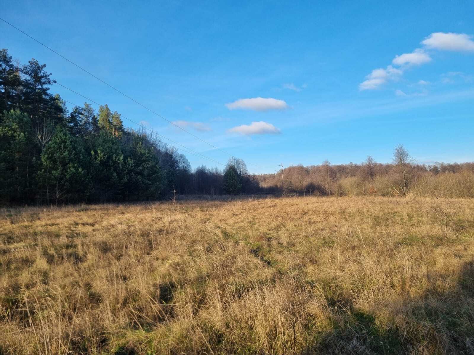 Продаж ділянки під інвестиційний проєкт 2500 соток