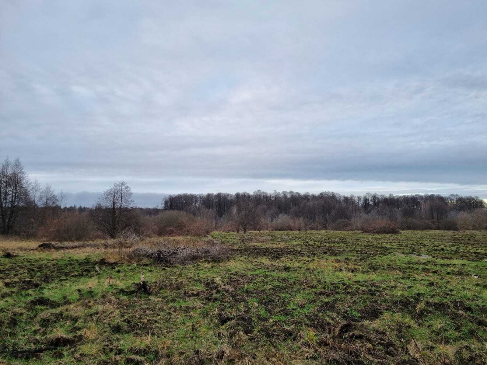 Продаж ділянки під інвестиційний проєкт 2500 соток