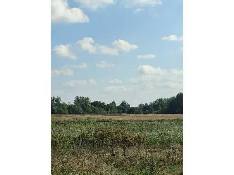 Продаж ділянки для особистого сільського господарства 100 соток, Нова