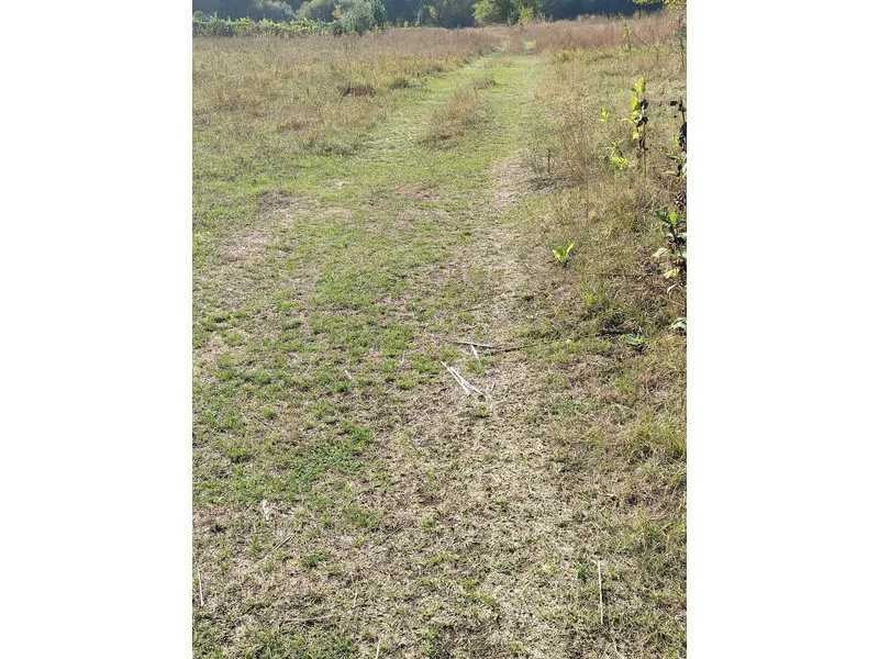 Продаж ділянки для особистого сільського господарства 100 соток, Нова