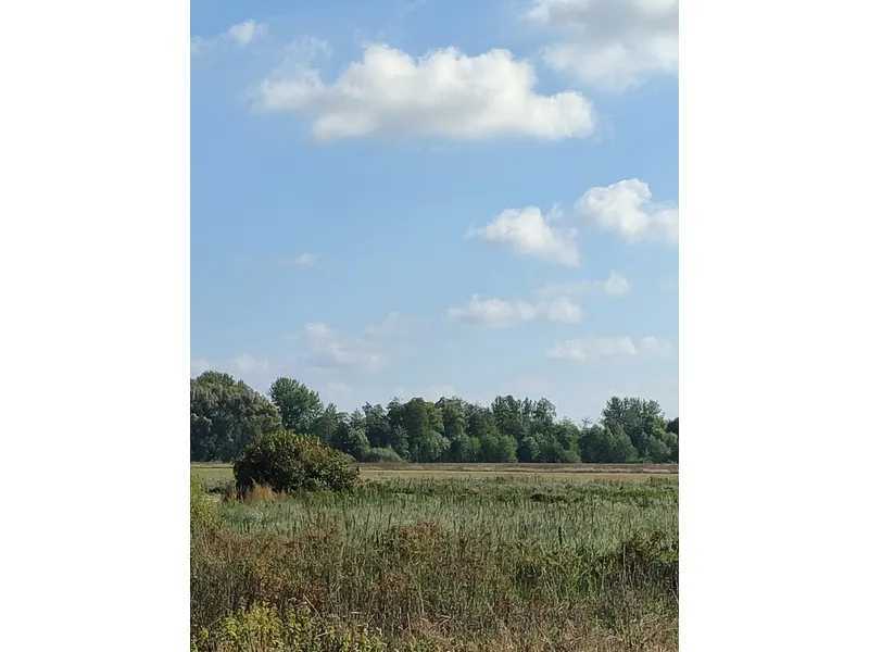 Продаж ділянки для особистого сільського господарства 100 соток, Нова