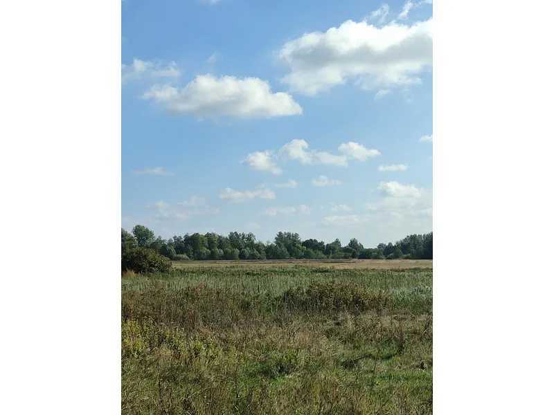 Продаж ділянки для особистого сільського господарства 100 соток, Нова