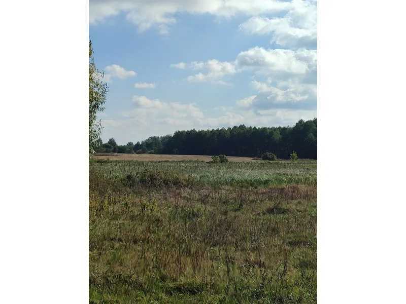 Продаж ділянки для особистого сільського господарства 100 соток, Нова