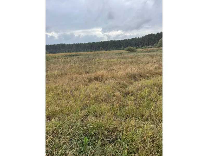 Продажа участка для личного сельского хозяйства 167.12 соток, Нова