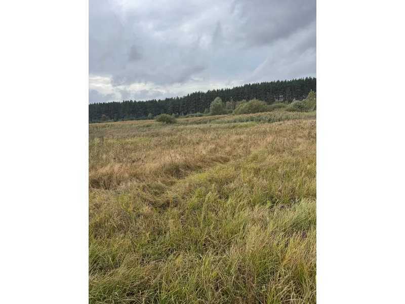 Продажа участка для личного сельского хозяйства 167.12 соток, Нова