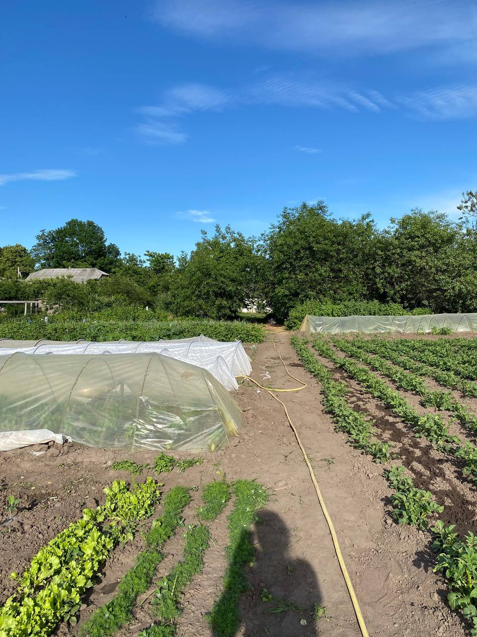 Продажа участка под индивидуальное жилое строительство 30 соток