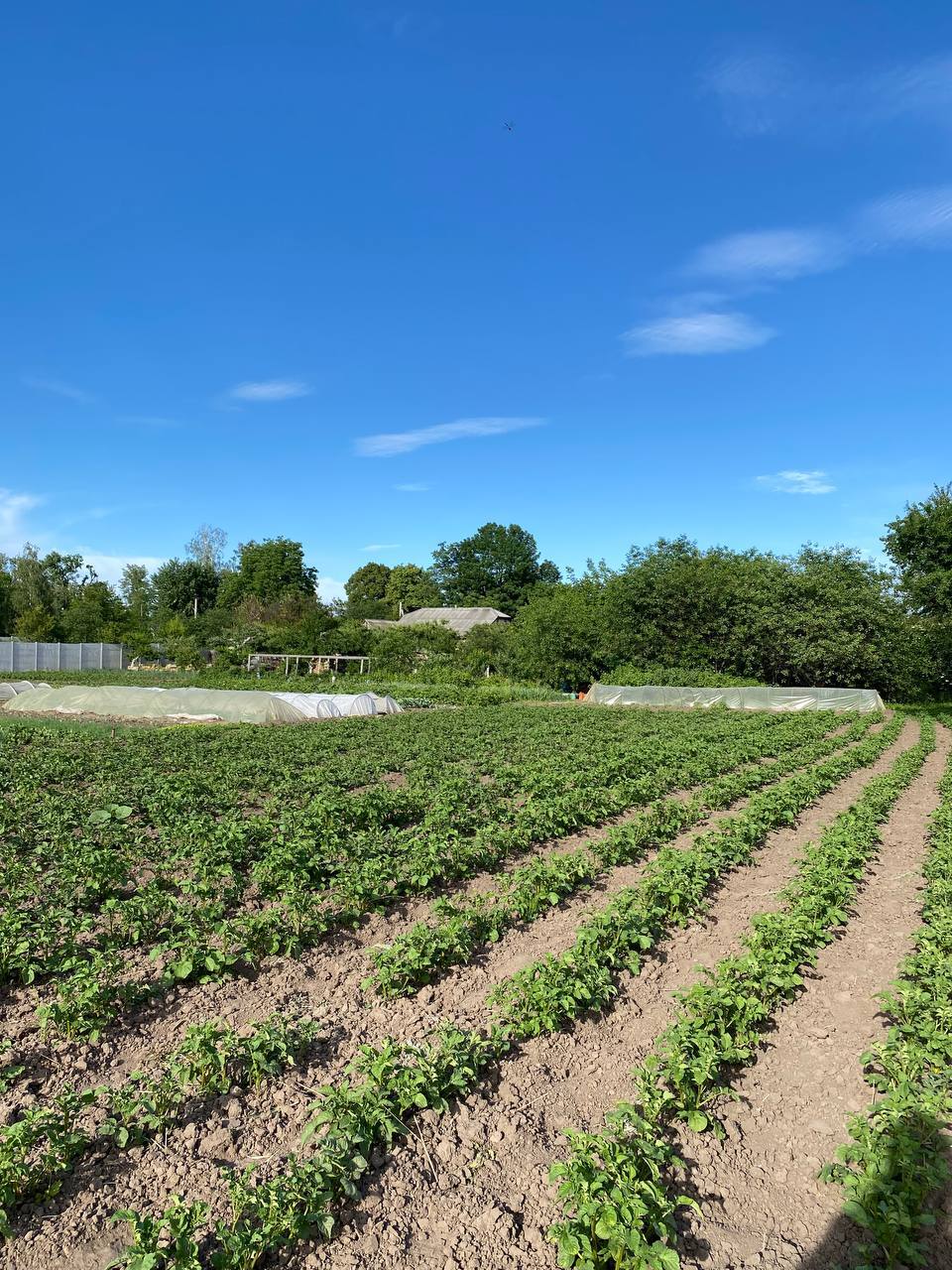 Продажа участка под индивидуальное жилое строительство 30 соток