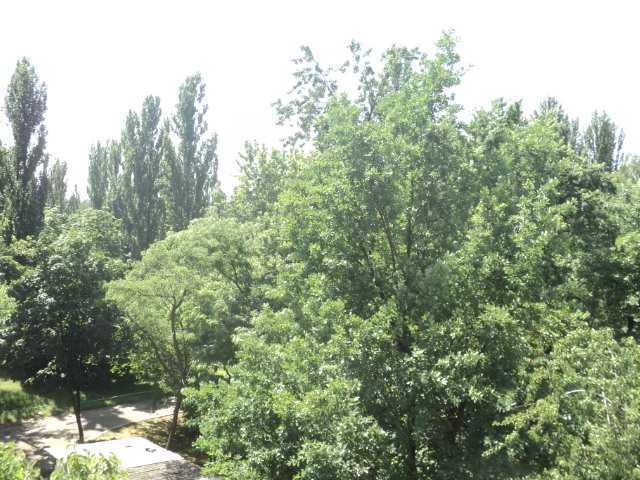 Оренда 1-кімнатної квартири 33 м², Шолом-Алейхема вул., 9