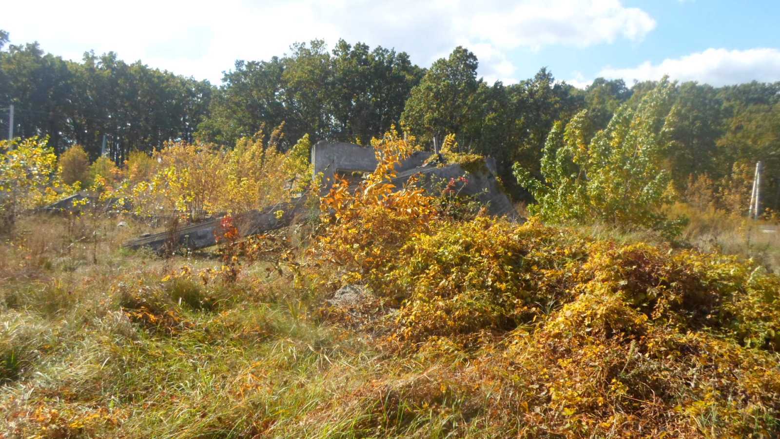 Продажа участка для строительства производства 70 соток, Ленина ул.