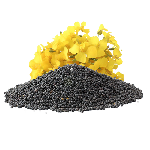 Продаж ділянки під рослинництво 190 соток