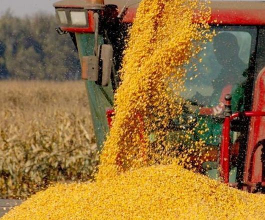 Продаж ділянки під рослинництво 3000 соток