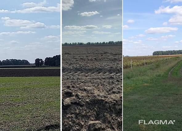 Продаж ділянки під рослинництво 3000 соток