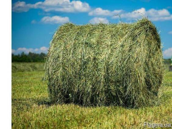 Продаж ділянки під рослинництво 3000 соток