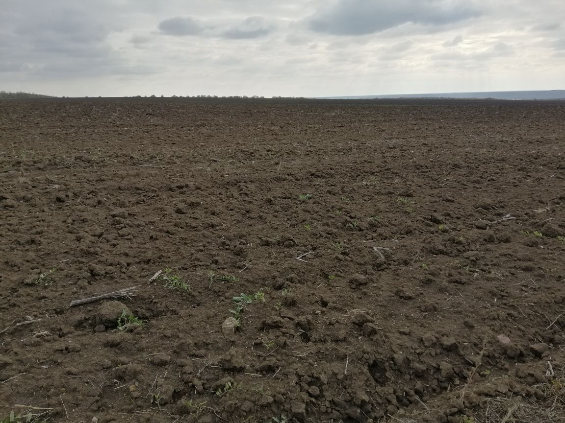 Продаж ділянки під рослинництво 3000 соток