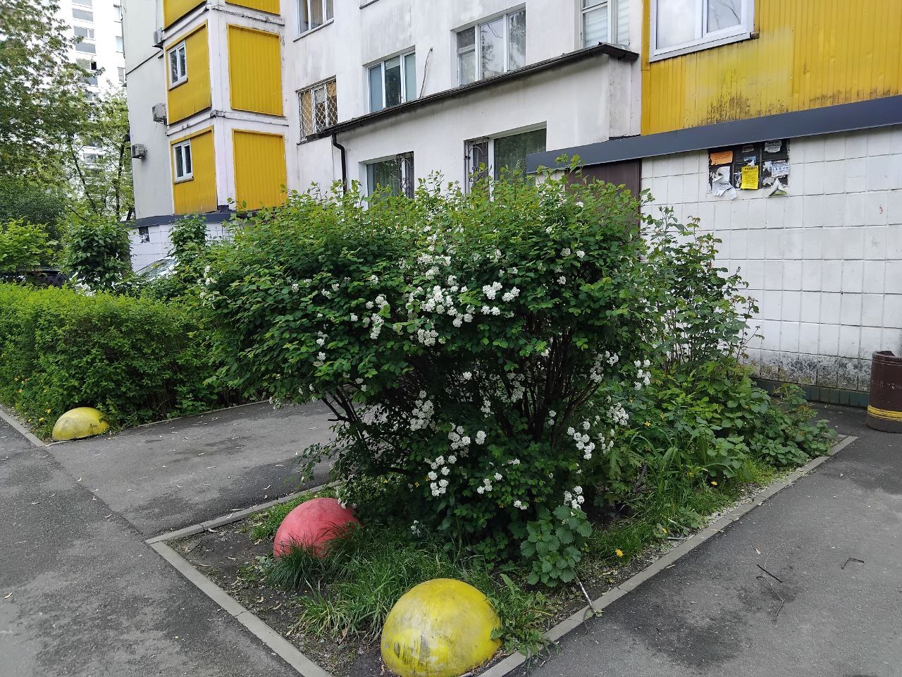 Продаж 3-кімнатної квартири 63 м², Шолом-Алейхема вул., 16