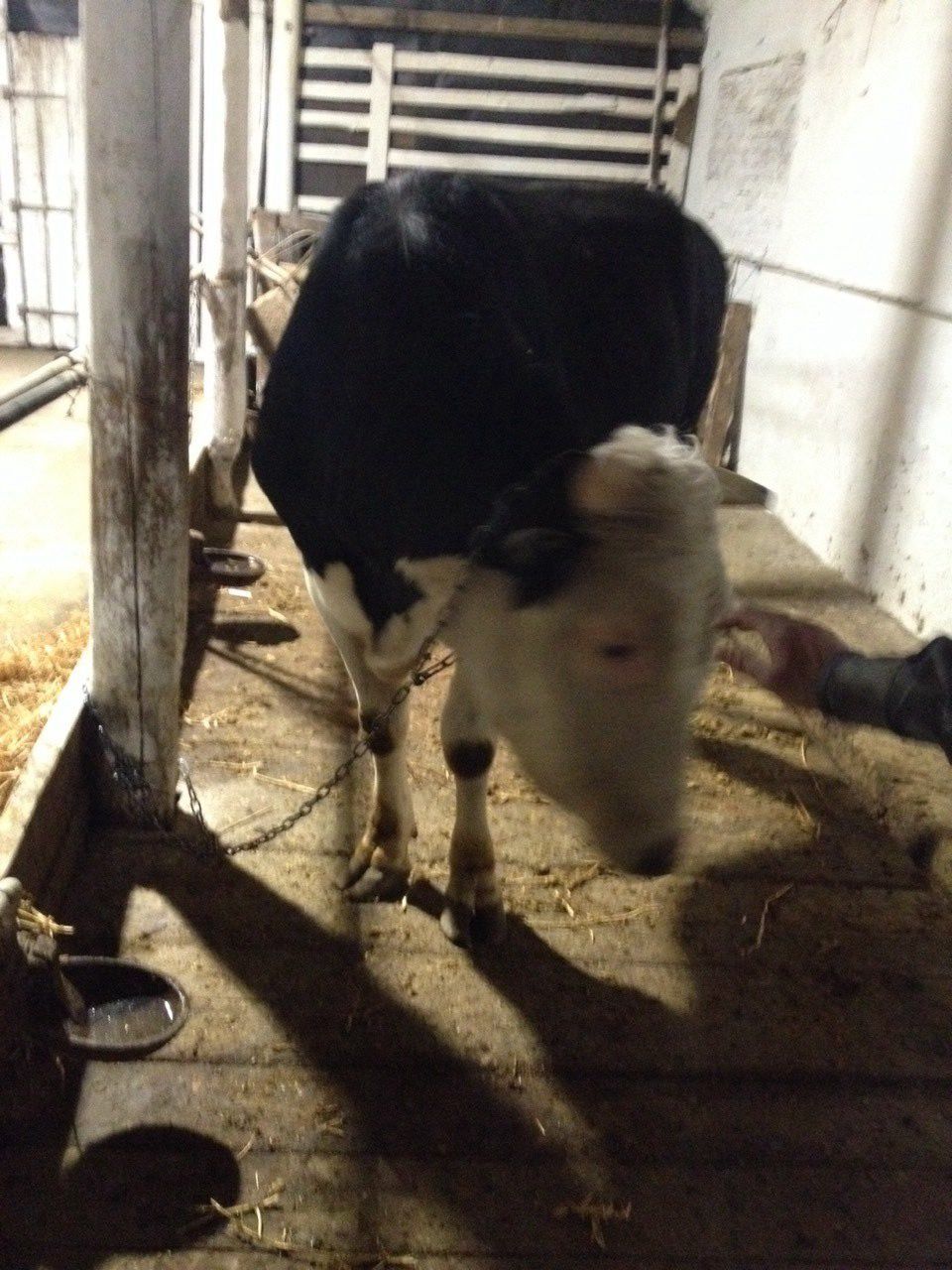 Продажа коммерции 3000 м²