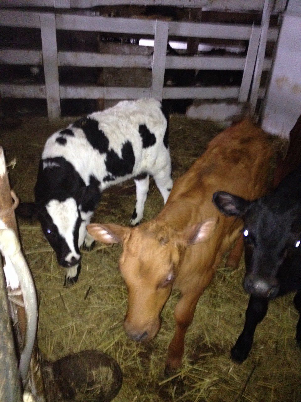 Продажа коммерции 3000 м²