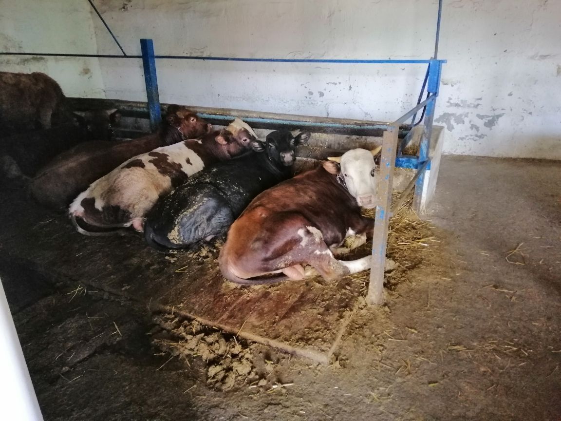 Продажа коммерции 3000 м²