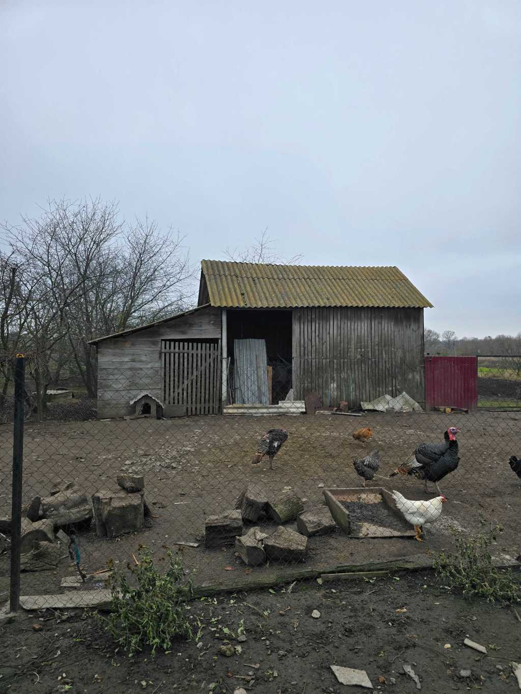 Продажа дома 49 м², Шкільна