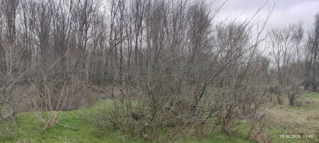 Продаж ділянки під індивідуальне житлове будівництво 364.55 соток, Адмірала Макарова вул.