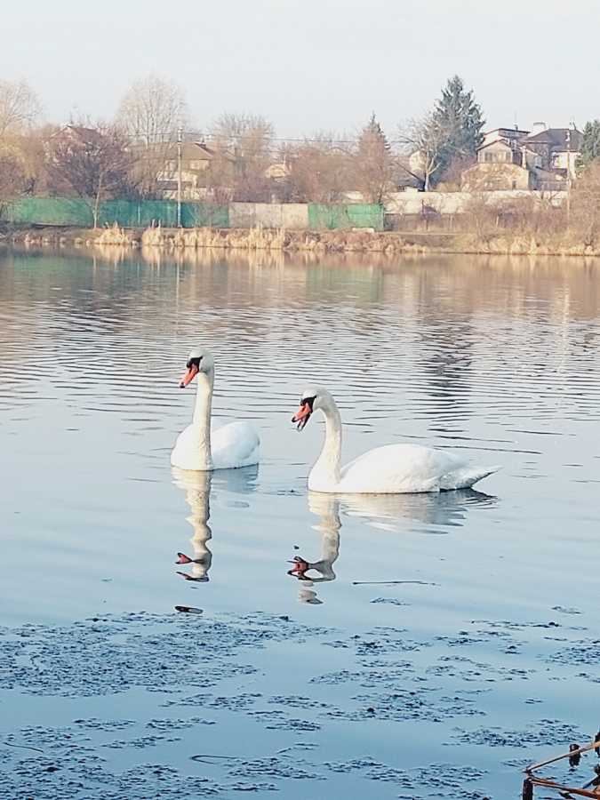 Аренда 2-комнатной квартиры 79 м², Соборная ул., 10Д