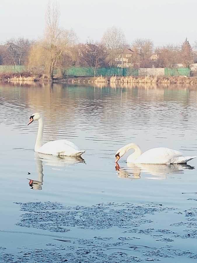 Аренда 2-комнатной квартиры 79 м², Соборная ул., 10Д