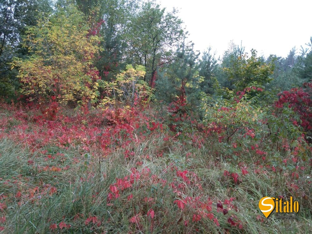 Продаж 2-кімнатної квартири 81 м², Радистів вул.