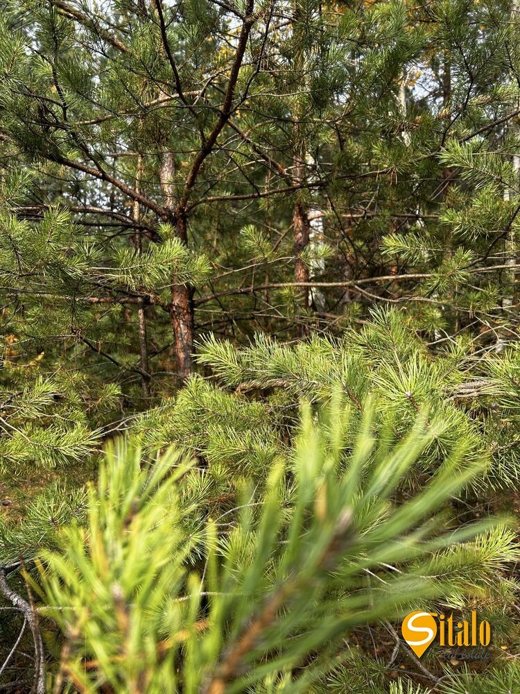 Продаж 2-кімнатної квартири 81 м², Радистів вул.