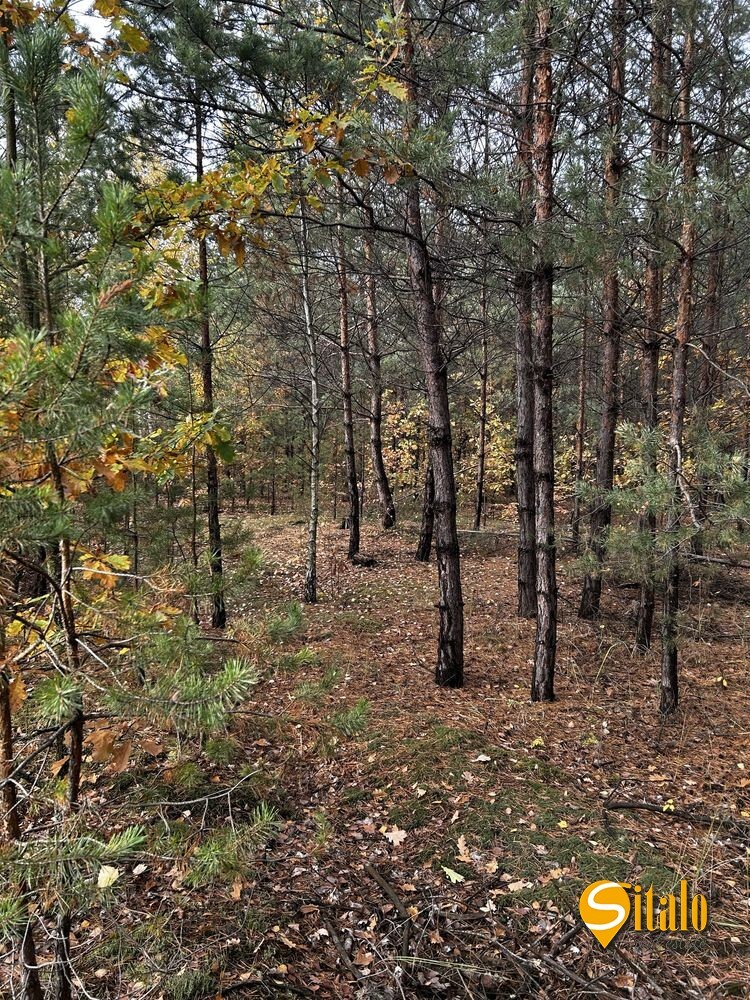 Продаж 2-кімнатної квартири 81 м², Радистів вул.