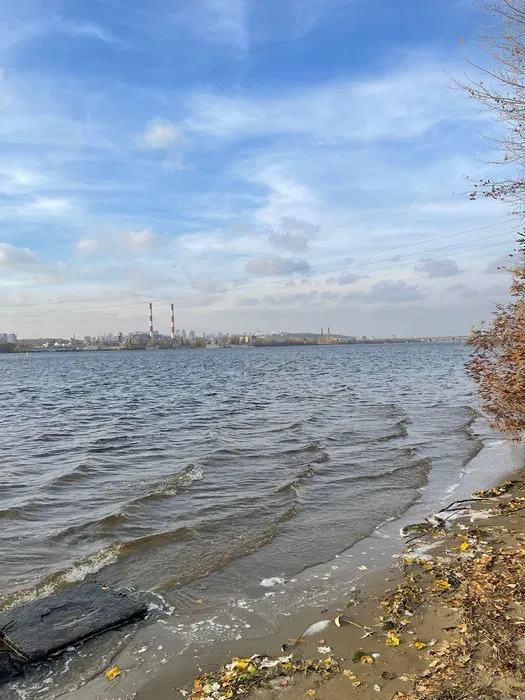 Аренда дома 175 м², 120-я Садовая ул., сад